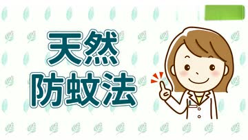 教你3招天然驱蚊法
