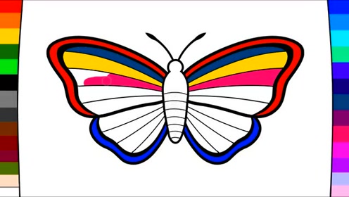画一只彩虹蝴蝶,五彩绚丽,好漂亮的大蝴蝶