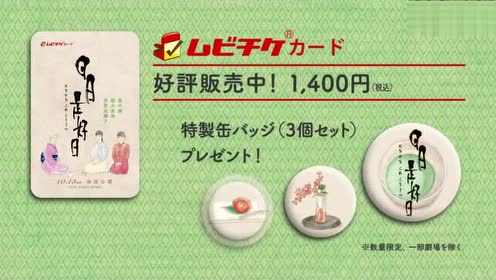 多部未华子 腾讯视频