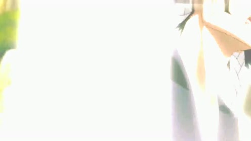 雀蜂 腾讯视频