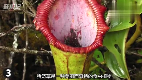 腾讯视频