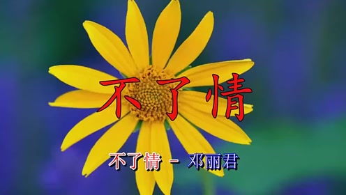 动听的歌曲《不了情》难以抗拒的歌声,好听的一首歌