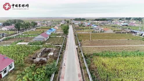 长岭镇人口_人口普查(2)