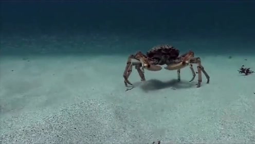腾讯视频