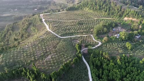 南国橄榄花园 腾讯视频
