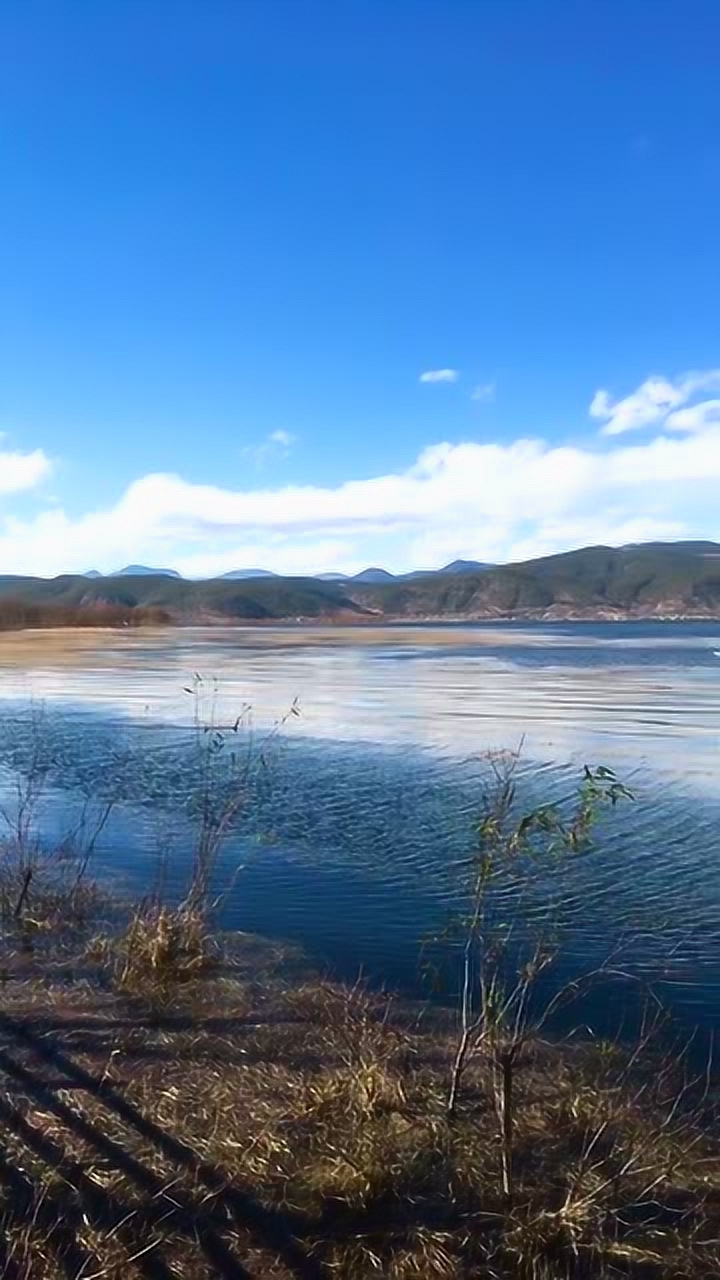 湖边的风景真的太好了,看着远处的蓝天白云,真的太漂亮了!