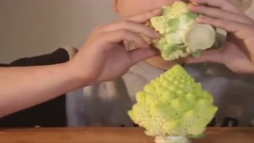 吃花椰菜 腾讯视频