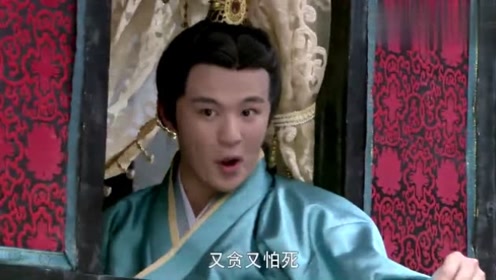 金丸日向子 腾讯视频