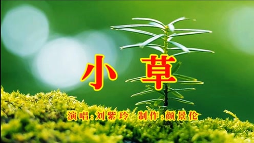 刘紫玲《小草》,经典老歌,百听不厌,超高清视频,值得收藏!