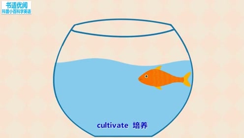 培养金鱼 腾讯视频