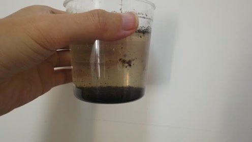鱼卵孵化 腾讯视频