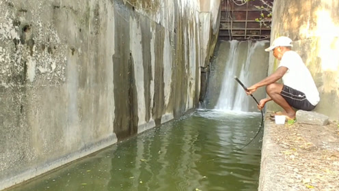 印度老人在墙角钓的这种鱼，我小时候经常见