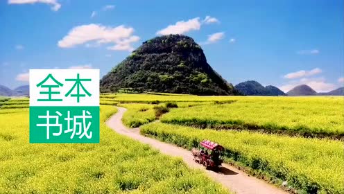 入门赘婿林阳苏颜,第一豪婿免费全集