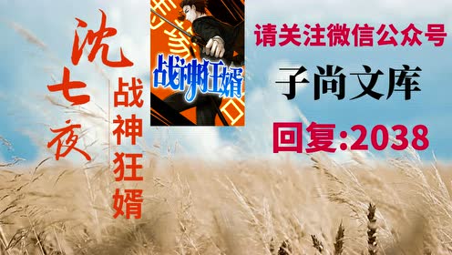 战神狂婿沈七夜林初雪 双手背后的人全本 全集