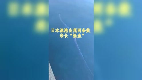 åœ°éœ‡å‰å…† è…¾è®¯è§†é¢'
