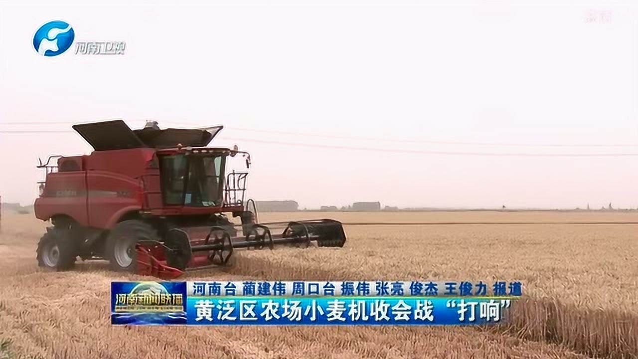 黄泛区农场小麦机收会战"打响"