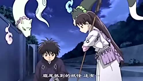 斑尾鸥 腾讯视频