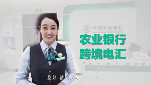 个人汇款 腾讯视频