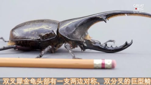 腾讯视频