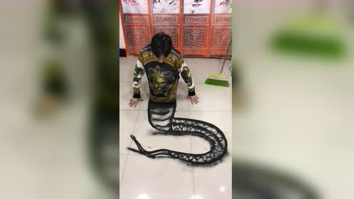 蛇尾人身,这难道就是传说中的"帅哥蛇?