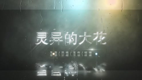 腾讯视频