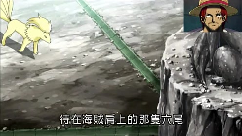 宠物小精灵bw 腾讯视频