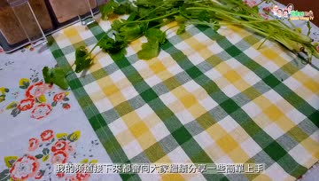 1块豆腐3颗番茄1把香菜，做成全素煎饼