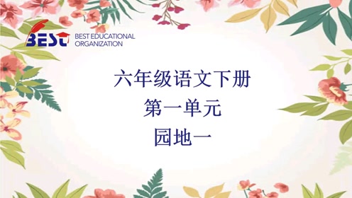 北师大版六年级语文下册第1单元 乐趣