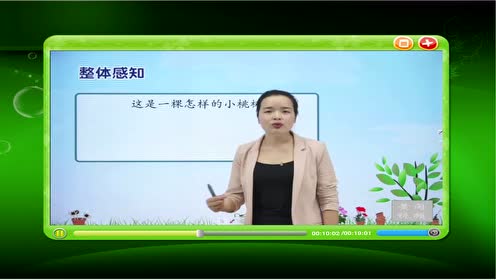 七年级语文下册18 竹影(丰子恺)