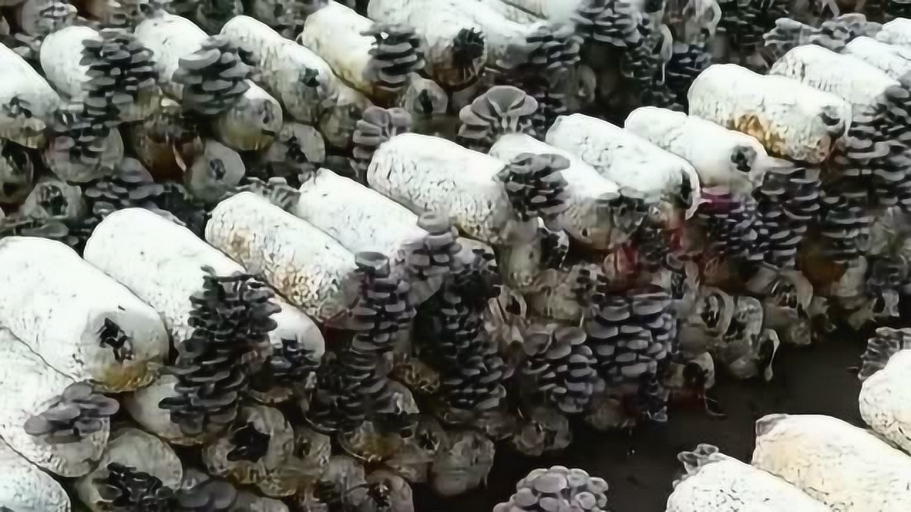 什么创业项目比较实际成本低 创业遇到“坏”项目，让它去死吧