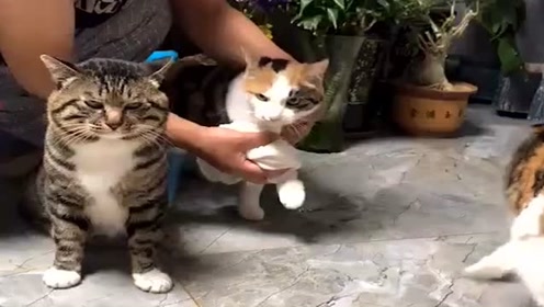 腾讯视频