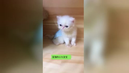 宝宝脱肛-腾讯视频