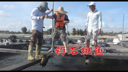鱼人小池 腾讯视频