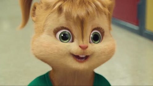 鼠来宝:可爱的花栗鼠们恋爱了