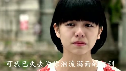 小幸运 (《我的少女时代》电影主题曲)