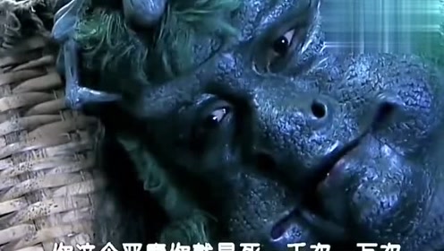 春光灿烂猪八戒小龙女以为五毒杀了朱哥哥,结果却发现是小俊