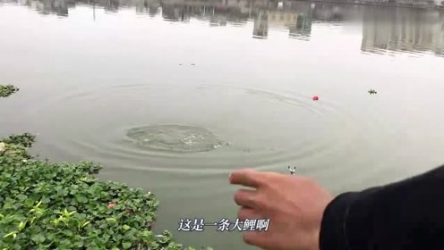 腾讯视频