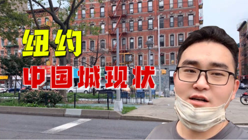 华人纽约生活 腾讯视频