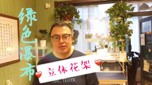 立体花架 腾讯视频