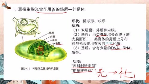 高中生物学必修一(第5章 细胞的能量供应和利用)4 光合作用与能量转化