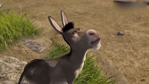 怪物史莱克:史莱克还在生气,不料驴子说出真相,误会公主了