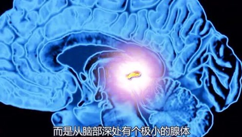 腾讯视频