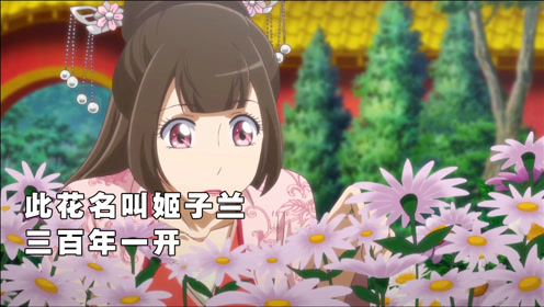 此花名叫姬子兰,三百年一开,极难成活十分珍贵!