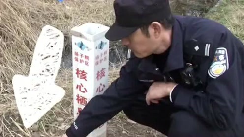 腾讯视频
