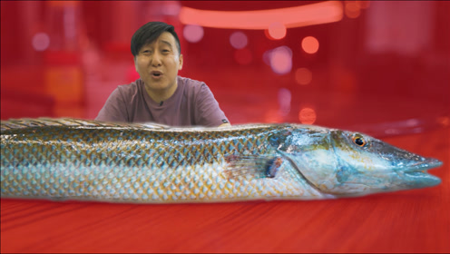 吃100元一斤的罕见过江龙,有人说死难吃,有人说贼好吃