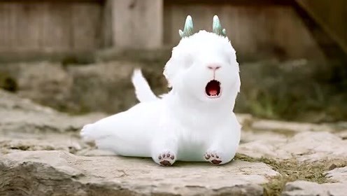 这么可爱的白泽兽,王母见了都想养一只,我也好想养