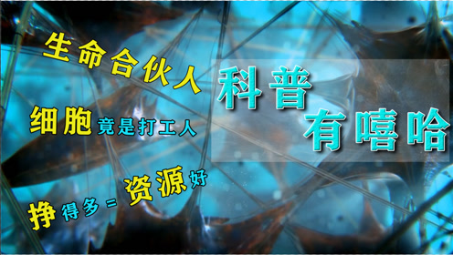 腾讯视频