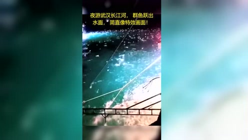 武汉鱼跃 腾讯视频