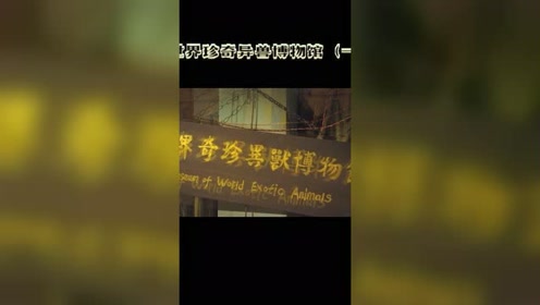 世界珍奇 腾讯视频