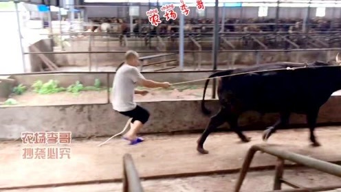 腾讯视频